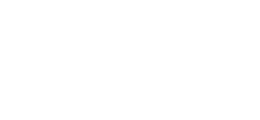 THE FINALS